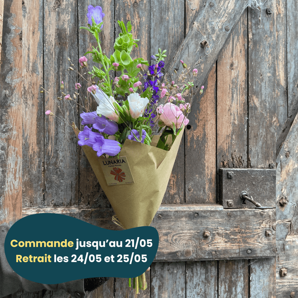PRÉCOMMANDE FÊTE DES MÈRES - Bouquet de fleurs locales Lunaria vrac-zero-dechet-ecolo-balma-gramont