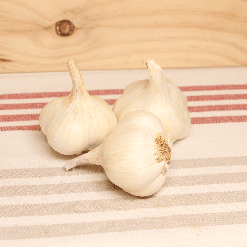Ail blanc sec BIO - 150g NOT_APPLICABLE vrac-zero-dechet-ecolo-balma-gramont