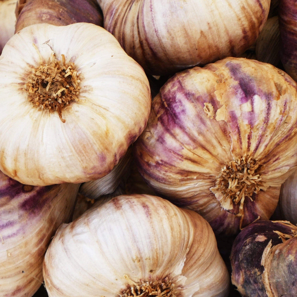Ail violet frais BIO - 150g NOT_APPLICABLE vrac-zero-dechet-ecolo-balma-gramont