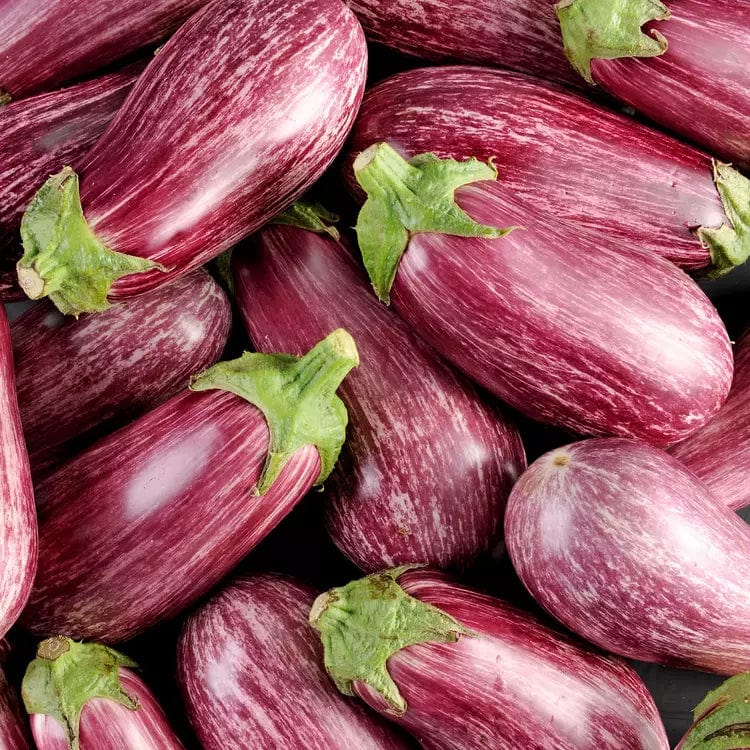 Aubergine graffiti BIO - 750g NOT_APPLICABLE vrac-zero-dechet-ecolo-balma-gramont