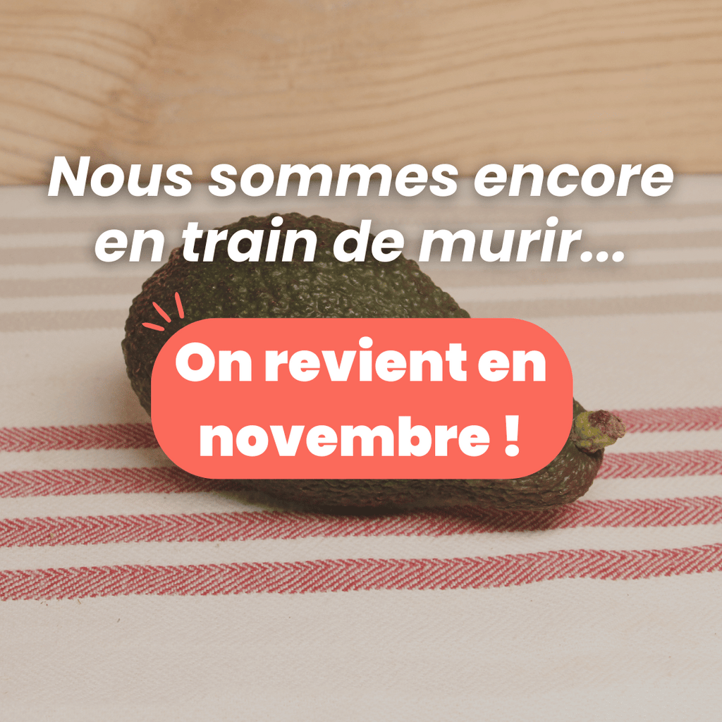 Avocat Hass BIO - La pièce NOT_APPLICABLE vrac-zero-dechet-ecolo-balma-gramont