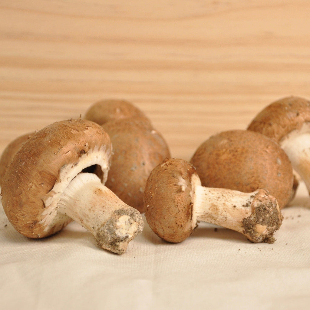 Champignon de Paris brun pied entier BIO - 250g NOT_APPLICABLE vrac-zero-dechet-ecolo-balma-gramont