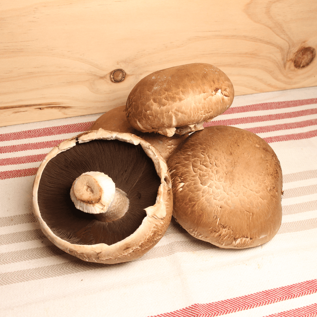 Champignon Portobello BIO - 300g Sud Ouest vrac-zero-dechet-ecolo-balma-gramont