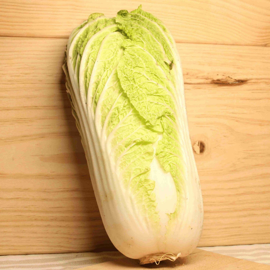 Chou chinois Pet Sai BIO - La pièce Sud Ouest vrac-zero-dechet-ecolo-balma-gramont