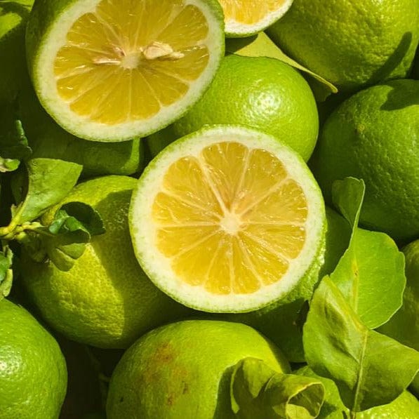 Citron jaune (coloration verte) BIO - 500g NOT_APPLICABLE vrac-zero-dechet-ecolo-balma-gramont