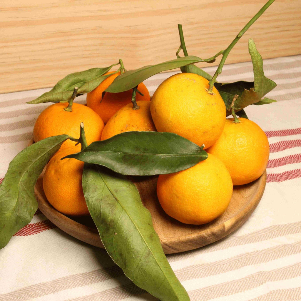 Clémentine feuille IGP Corse BIO - 500g NOT_APPLICABLE vrac-zero-dechet-ecolo-balma-gramont