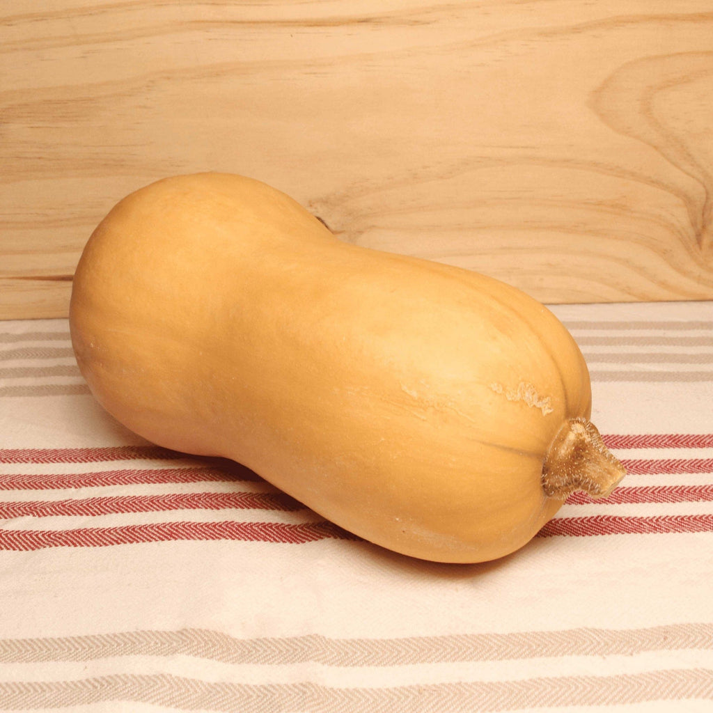 Courge Butternut BIO - La pièce Le Bon Plant vrac-zero-dechet-ecolo-balma-gramont