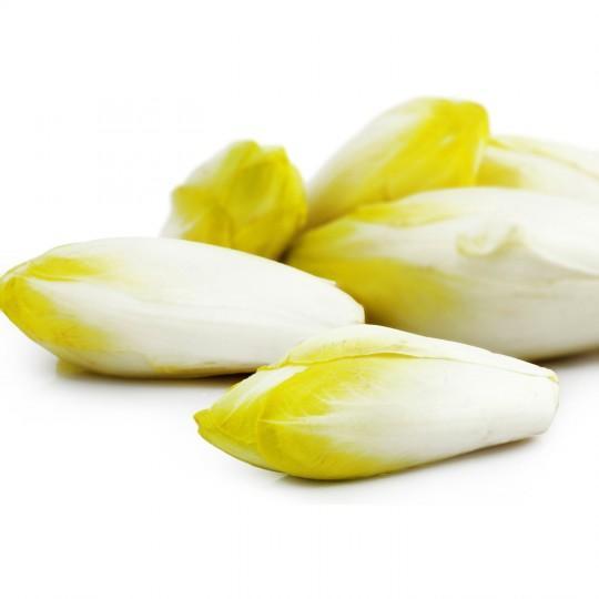 Endive BIO - 400 g NOT_APPLICABLE vrac-zero-dechet-ecolo-balma-gramont