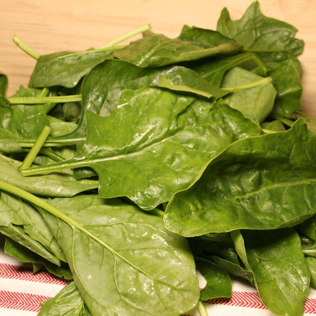 Epinard feuille BIO - 250g Sud Ouest vrac-zero-dechet-ecolo-balma-gramont