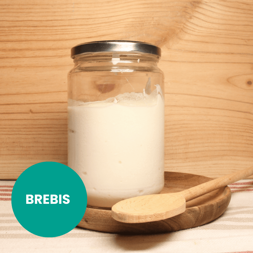 Fromage Blanc Brebis Bio - 700 g Biochamps vrac-zero-dechet-ecolo-balma-gramont