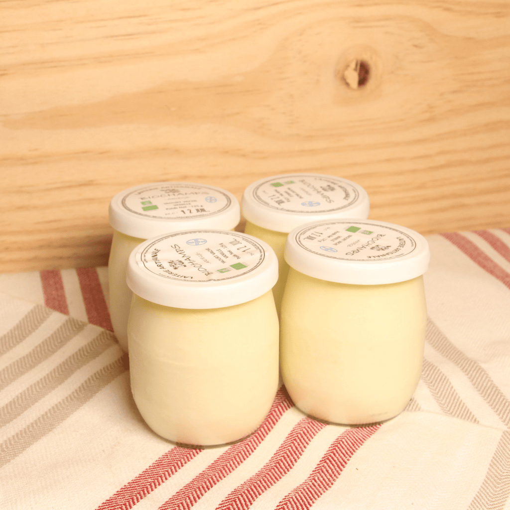 Lot de 4 yaourts vache vanille - 4x125g Evidence/Biochamps vrac-zero-dechet-ecolo-balma-gramont