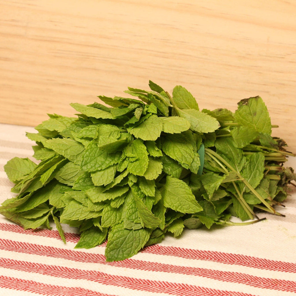Menthe verte BIO - La botte NOT_APPLICABLE vrac-zero-dechet-ecolo-balma-gramont