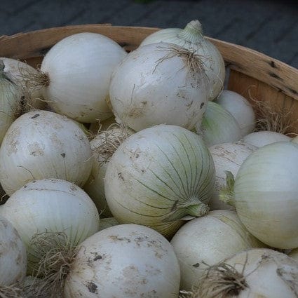 Oignon blanc BIO - 500g NOT_APPLICABLE vrac-zero-dechet-ecolo-balma-gramont