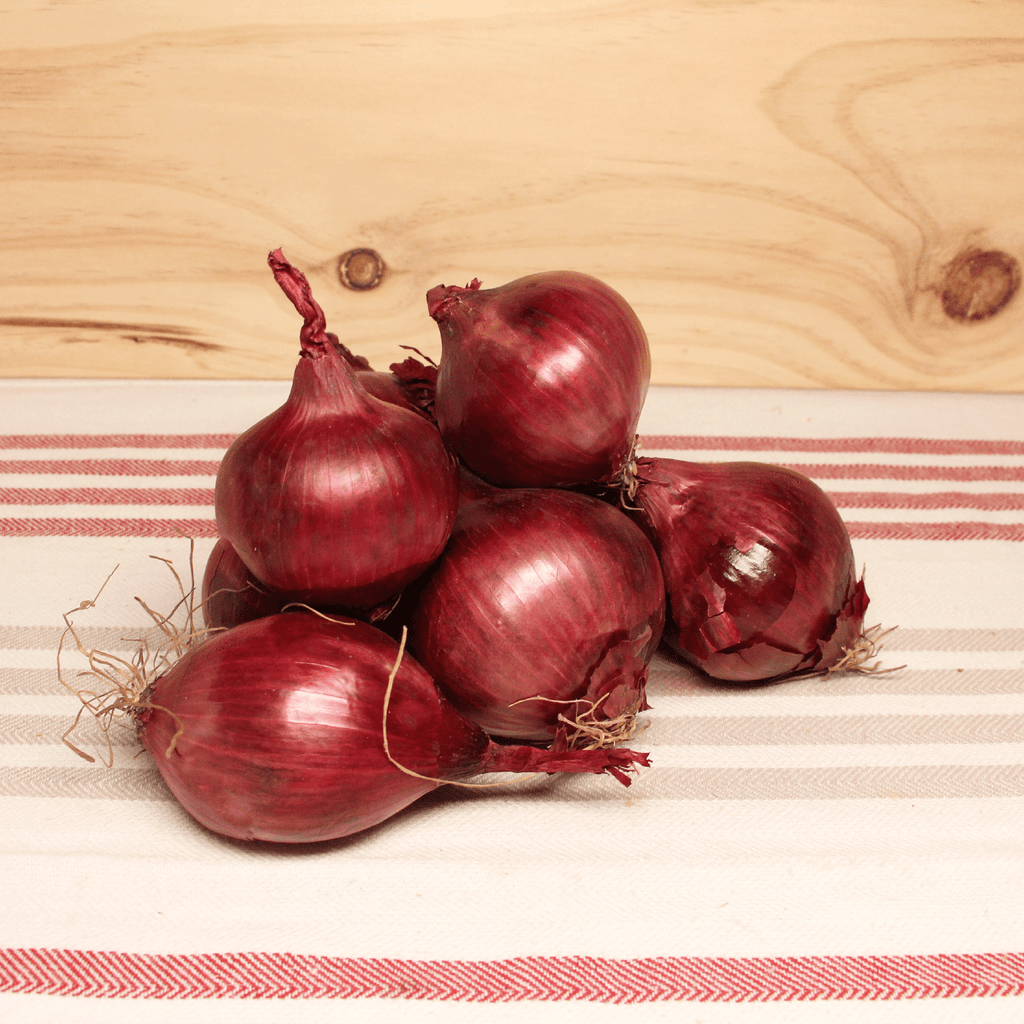 Oignon rouge BIO - 500g NOT_APPLICABLE vrac-zero-dechet-ecolo-balma-gramont