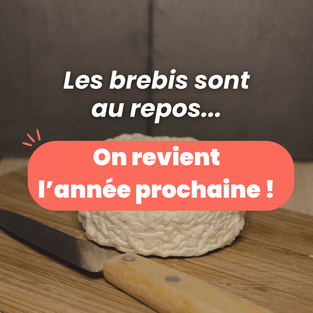 Petit crémeux de brebis au lait cru des Pyrénées - ANTIGASPI Fromagerie du Plateau vrac-zero-dechet-ecolo-balma-gramont