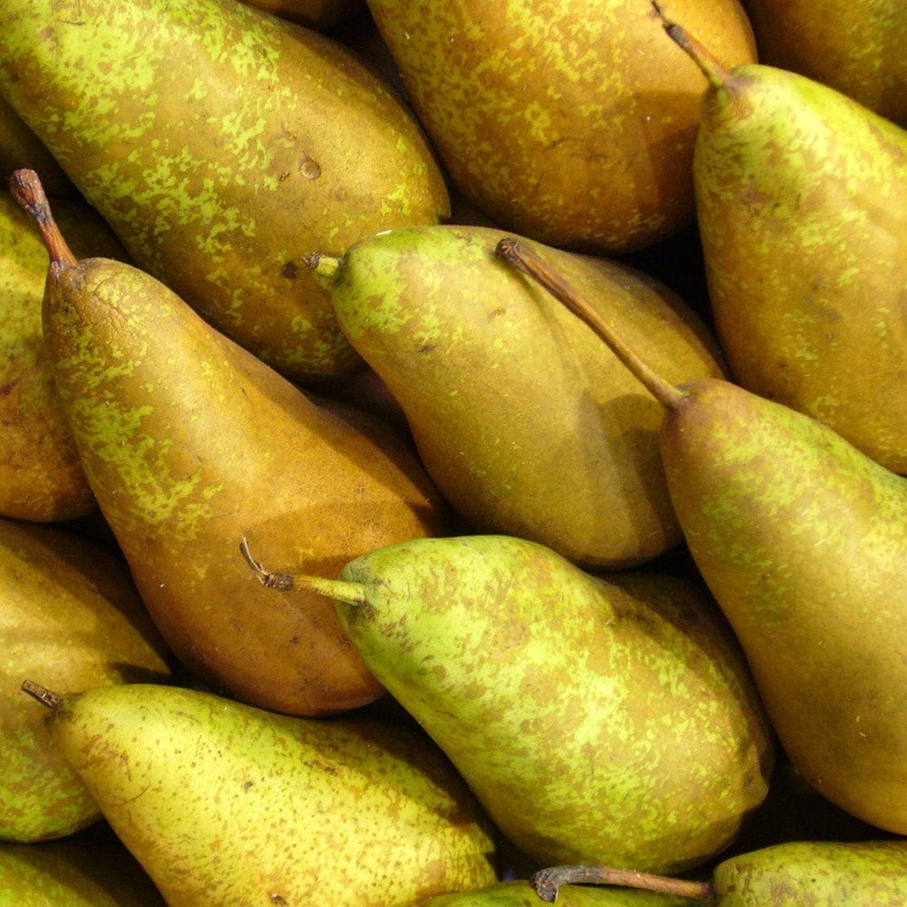 Poire Conférence BIO - 1kg NOT_APPLICABLE vrac-zero-dechet-ecolo-balma-gramont