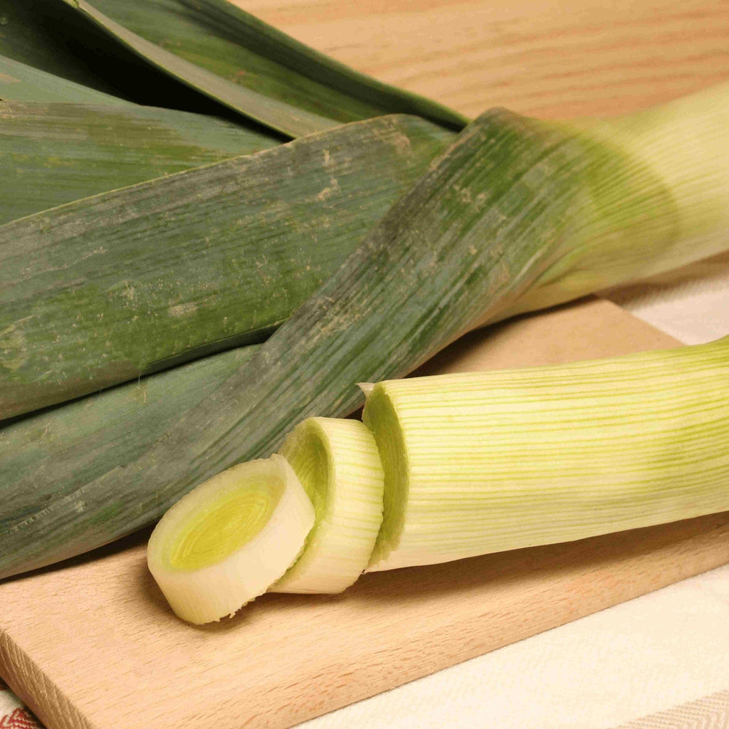 Poireau BIO- 750g Sud Ouest vrac-zero-dechet-ecolo-balma-gramont