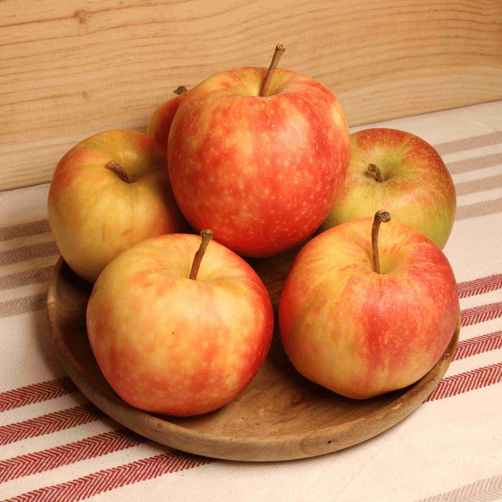 Pomme Gala BIO - 1kg Sud Ouest vrac-zero-dechet-ecolo-balma-gramont