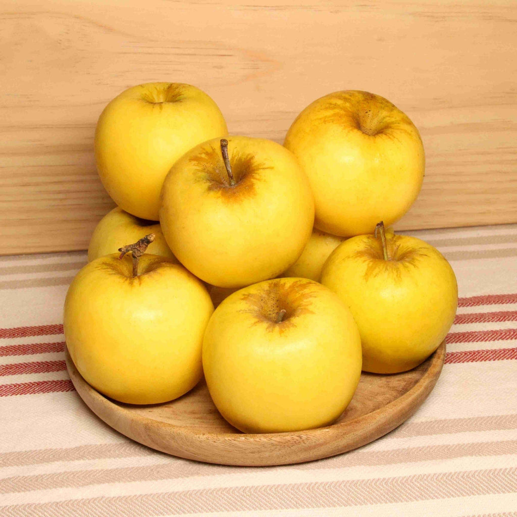 Pomme Opal BIO - 1kg Sud Ouest vrac-zero-dechet-ecolo-balma-gramont