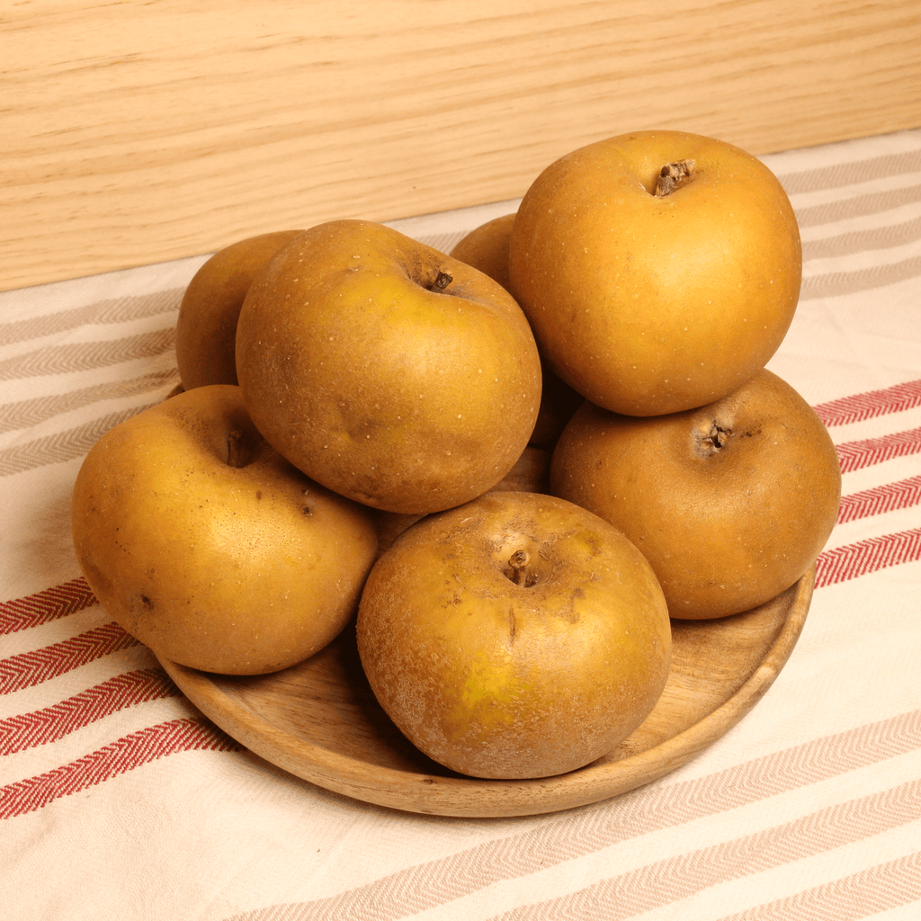 Pomme Reinette grise Canada BIO - 1kg NOT_APPLICABLE vrac-zero-dechet-ecolo-balma-gramont