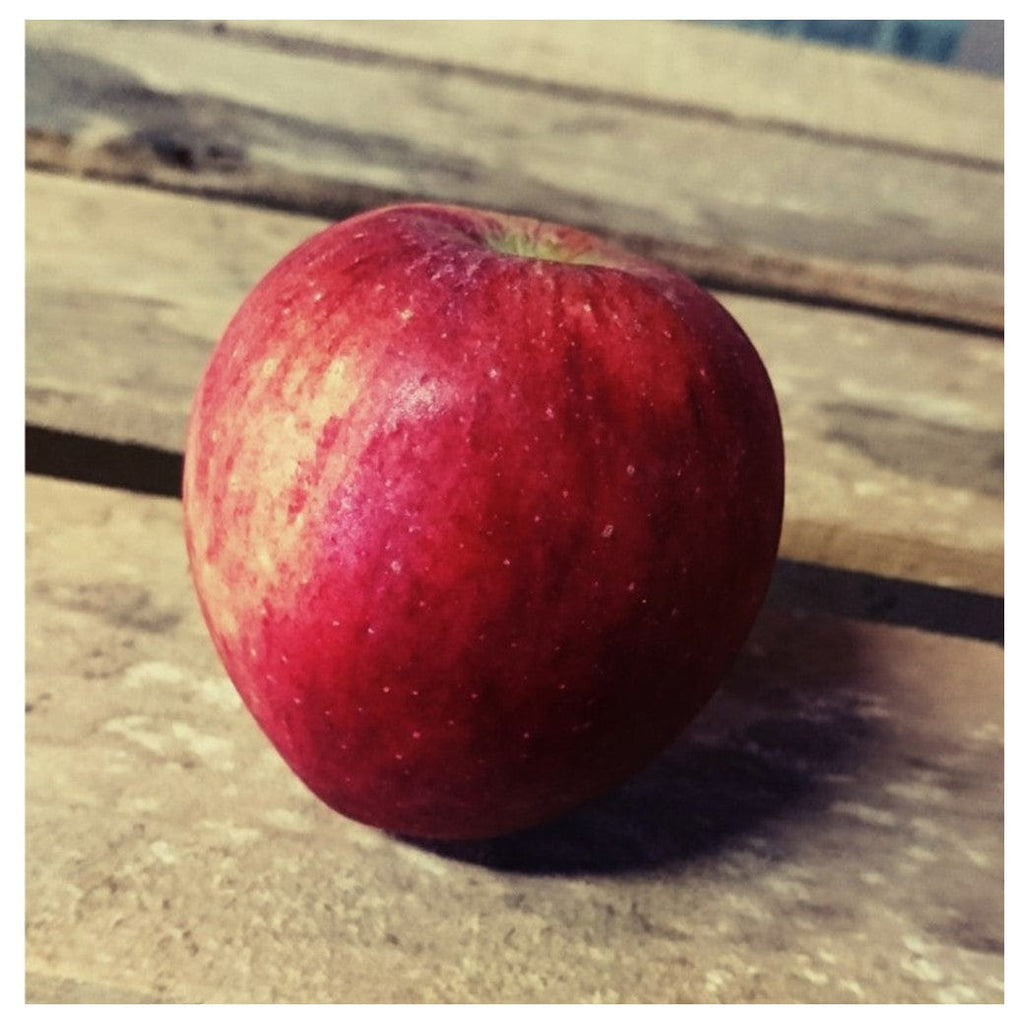 Pomme Rougelle BIO - 1kg Sud Ouest vrac-zero-dechet-ecolo-balma-gramont