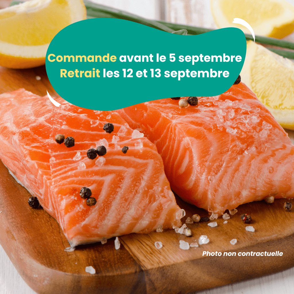 PRÉCOMMANDE AVEC ACOMPTE - Pavés de truite (300 à 400g) PSS31 vrac-zero-dechet-ecolo-balma-gramont