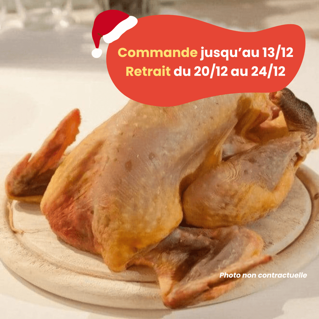 PRÉCOMMANDE Noël - ACOMPTE - Pintade grasse (1,8 à 2,5kg) Domaine des Tuileries vrac-zero-dechet-ecolo-balma-gramont