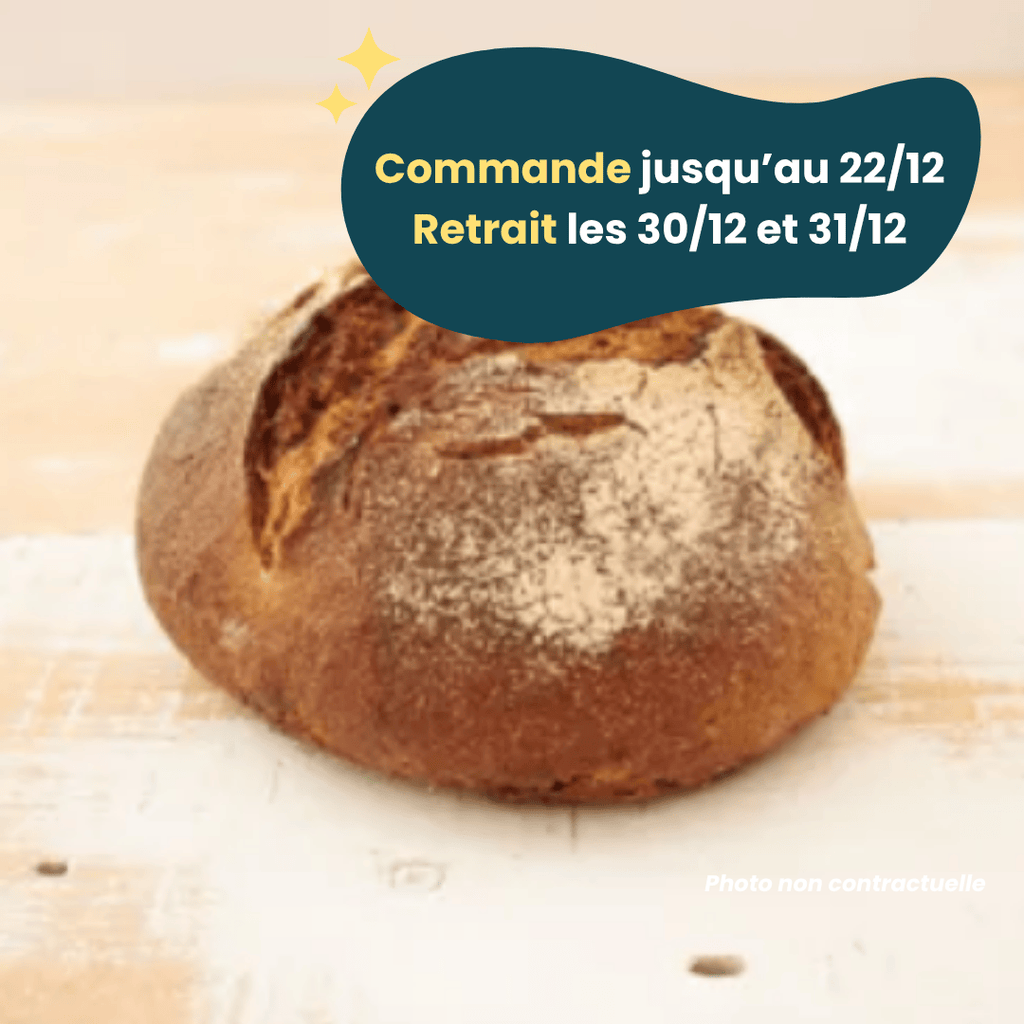 PRÉCOMMANDE Nouvel An - Pain au seigle BIO - 350g Les Frères Chapelier vrac-zero-dechet-ecolo-balma-gramont