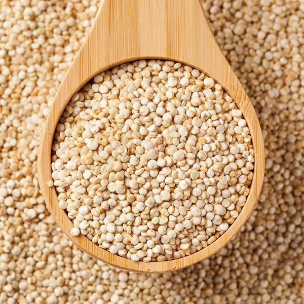 Quinoa blanc BIO - 500g Senfas vrac-zero-dechet-ecolo-balma-gramont