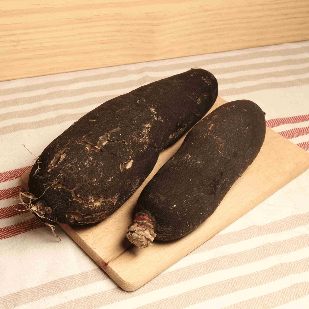 Radis Noir BIO - 500g Sud Ouest vrac-zero-dechet-ecolo-balma-gramont