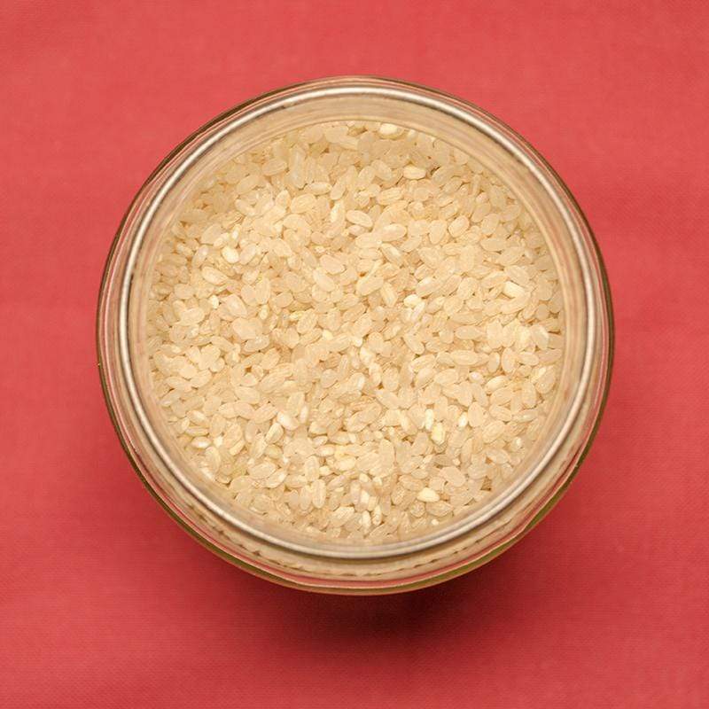 Riz rond semi-complet de Camargue IGP BIO - 500g Priméal vrac-zero-dechet-ecolo-balma-gramont