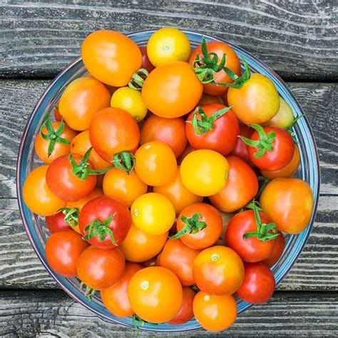 Tomate cerise multicolore BIO - 250g NOT_APPLICABLE vrac-zero-dechet-ecolo-balma-gramont