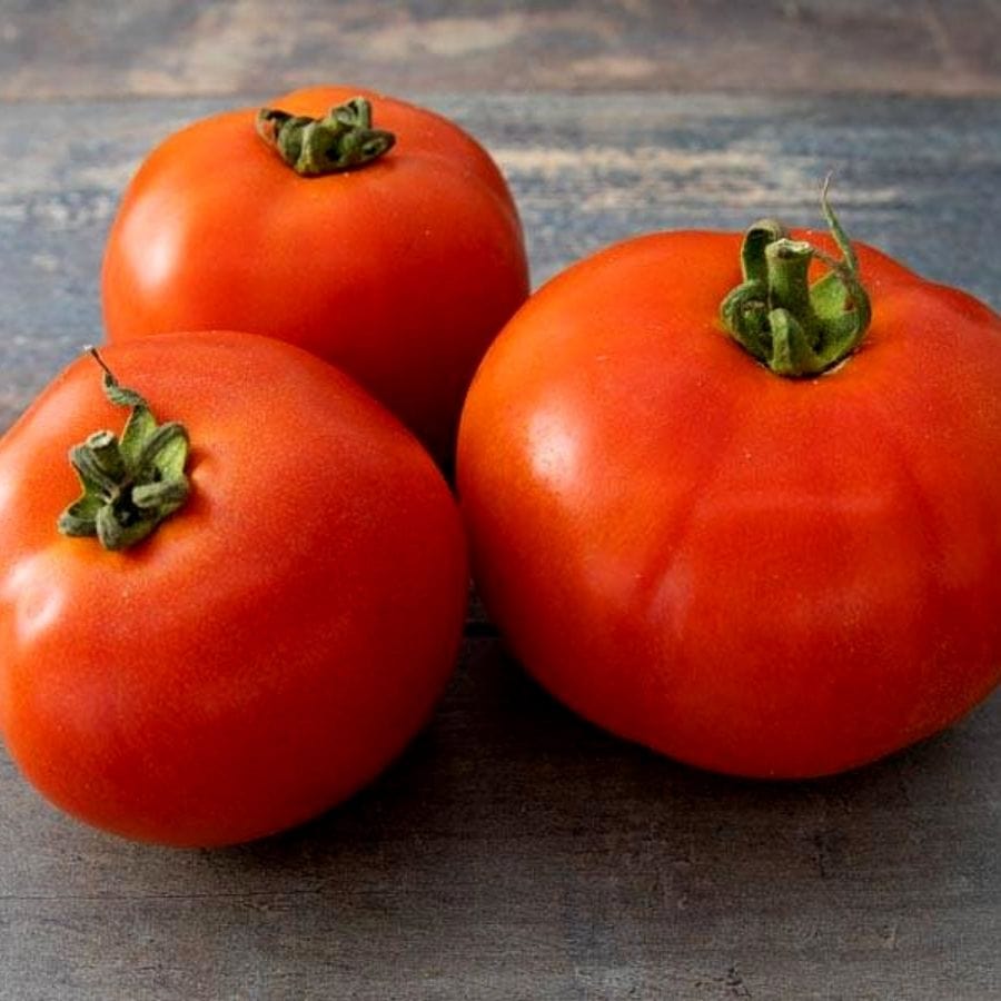 Tomate ronde BIO - 600g Sud Ouest vrac-zero-dechet-ecolo-balma-gramont