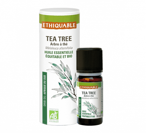 Huile essentielle - Tea tree / Arbre à thé 10mL Ethiquable vrac-zero-dechet-ecolo-balma-gramont