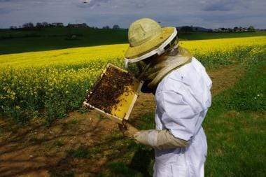Miel "toutes fleurs" - 500g GAEC entre terre et ciel vrac-zero-dechet-ecolo-balma-gramont