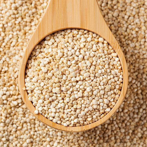 Quinoa - 500g Actibio vrac-zero-dechet-ecolo-balma-gramont